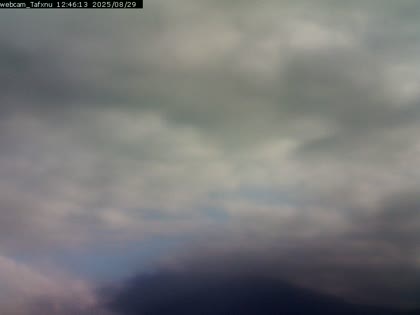 2025-08-29