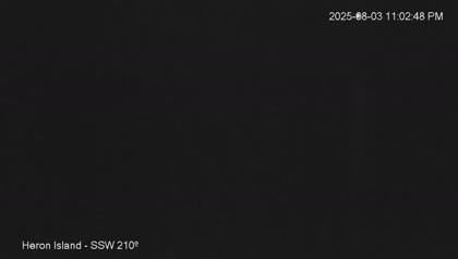 2025-08-04