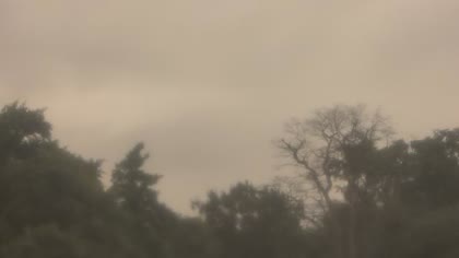 2025-07-12