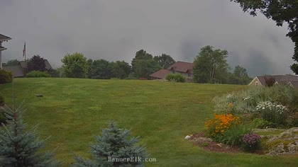 2025-08-01