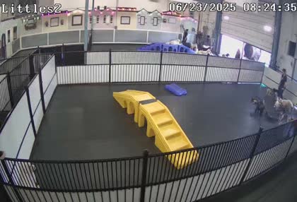 2025-06-23