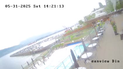 2025-05-31