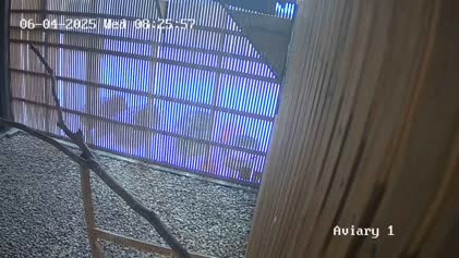 2025-06-04