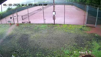2025-06-19