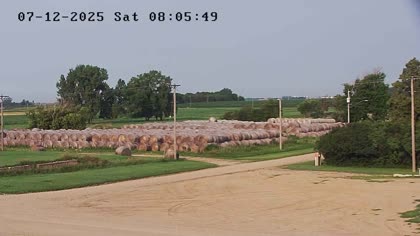 2025-07-12