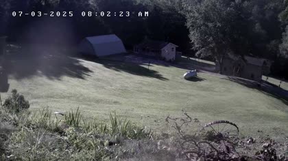 2025-07-03