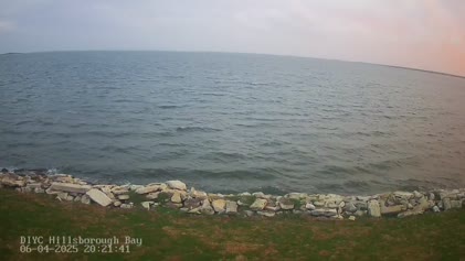 2025-06-06