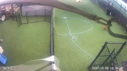 2025-10-09