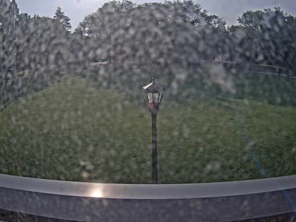 2025-06-07