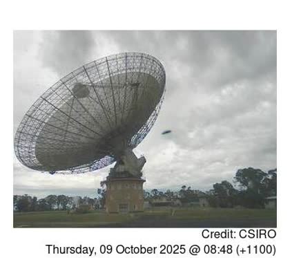 2025-10-08