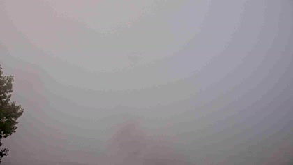 2025-08-11