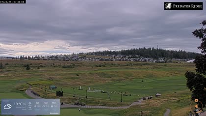 2025-07-25