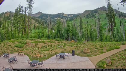 2026-06-08