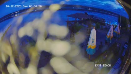 2025-10-12