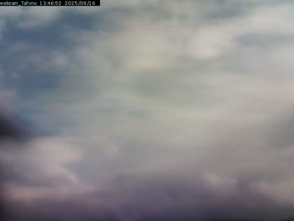 2025-08-16