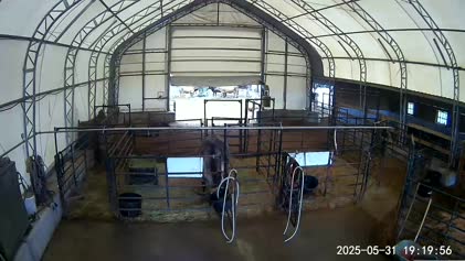 2025-06-01