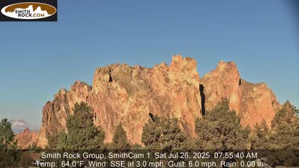 2025-07-26
