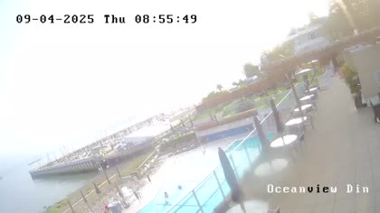 2025-09-04