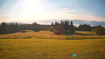 2026-07-29