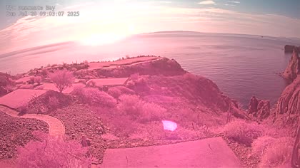 2025-07-20
