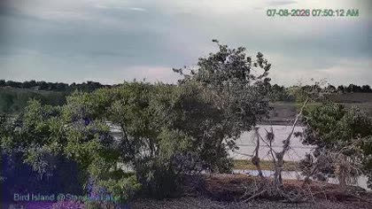 2026-07-08