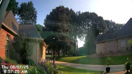 2025-08-07