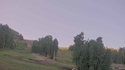 2025-06-19