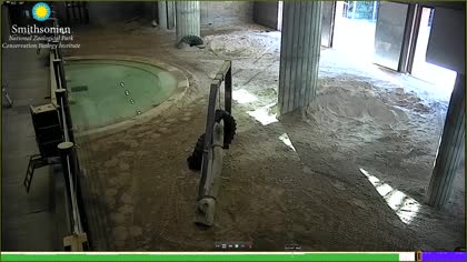 2025-10-06