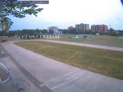 2025-08-05