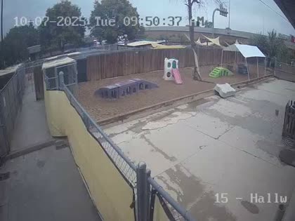 2025-10-07