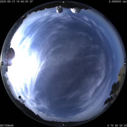 2025-08-13