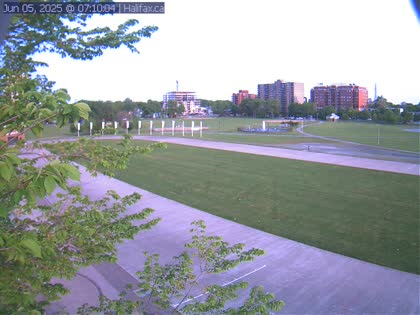 2025-06-05