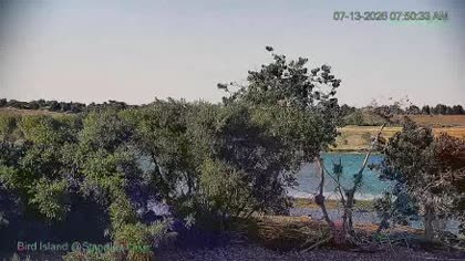 2026-07-13