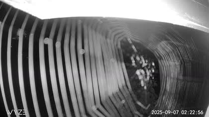 2025-09-07
