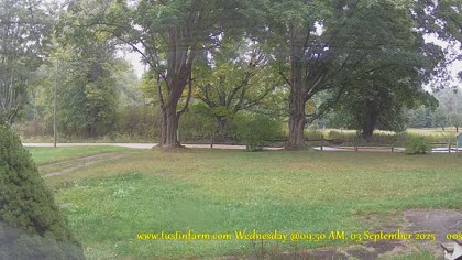 2025-09-03