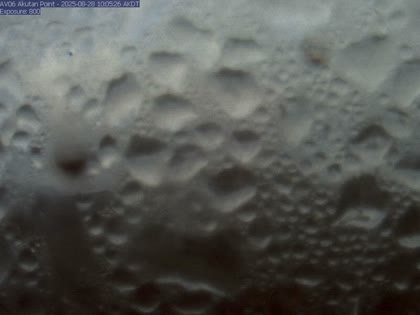 2025-08-28