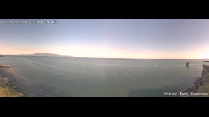 2025-07-29