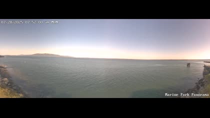 2025-07-28