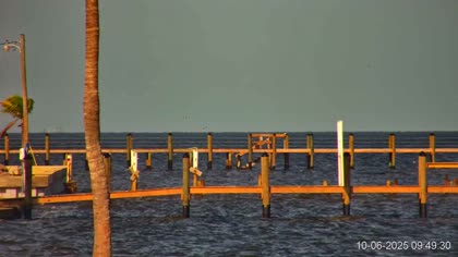 2025-10-06