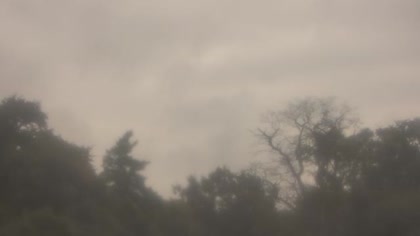 2025-09-07