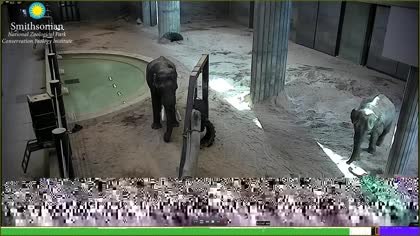 2025-10-04