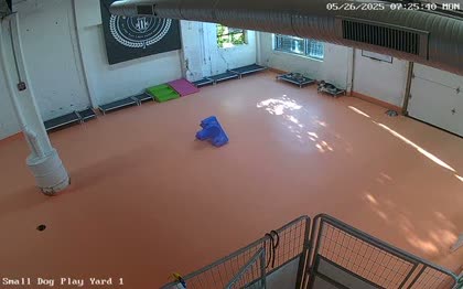 2025-05-26