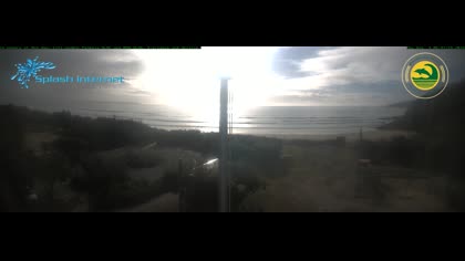 2025-08-04