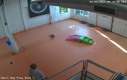 2025-07-04