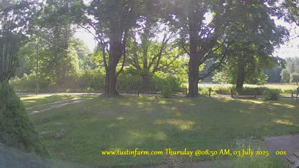 2025-07-03