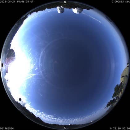 2025-08-24