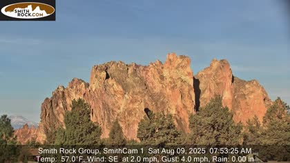 2025-08-09