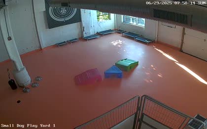 2025-06-29