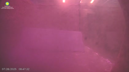 2025-07-26