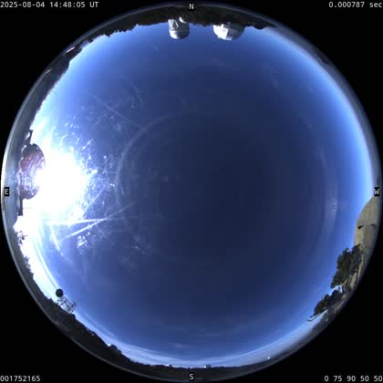 2025-08-04